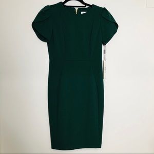 Calvin Klein Dress size 6p